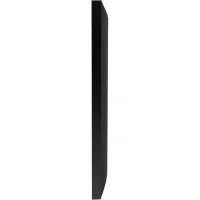 Монитор Dahua DHI-LM55-S400 фото 3